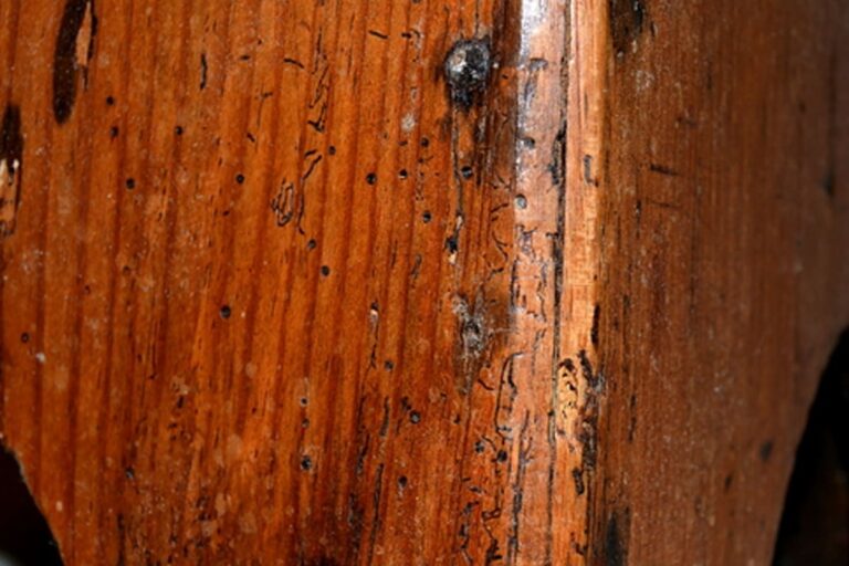 Patine naturelle sur bois ancien montrant une usure irrégulière et une oxydation progressive du matériau